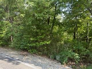 Listing photo 2 for LOT3 Silver Cliff Way, Branson West MO 65737