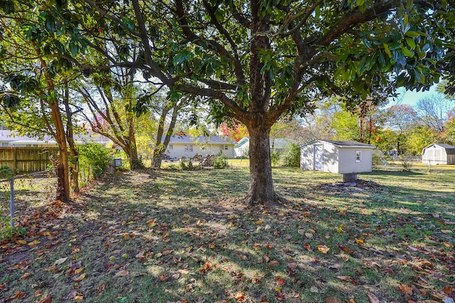 view of yard with a storage shed