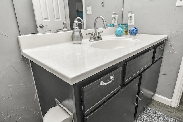 bathroom with vanity and wood-type flooring