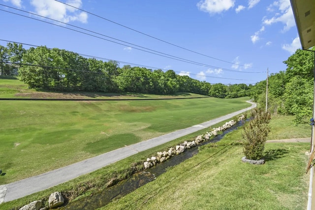 view of home's community with a lawn