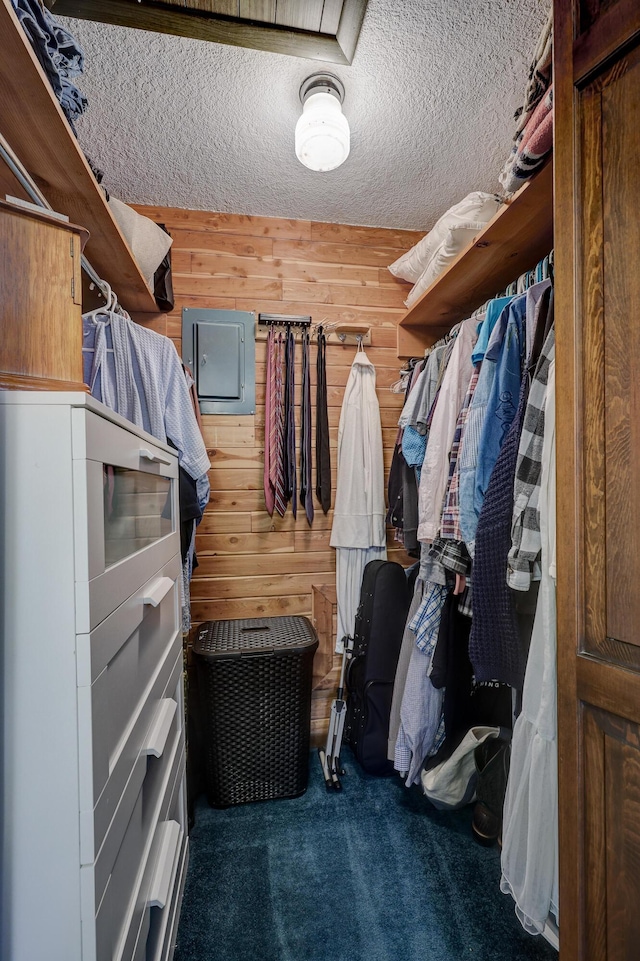 spacious closet featuring carpet flooring