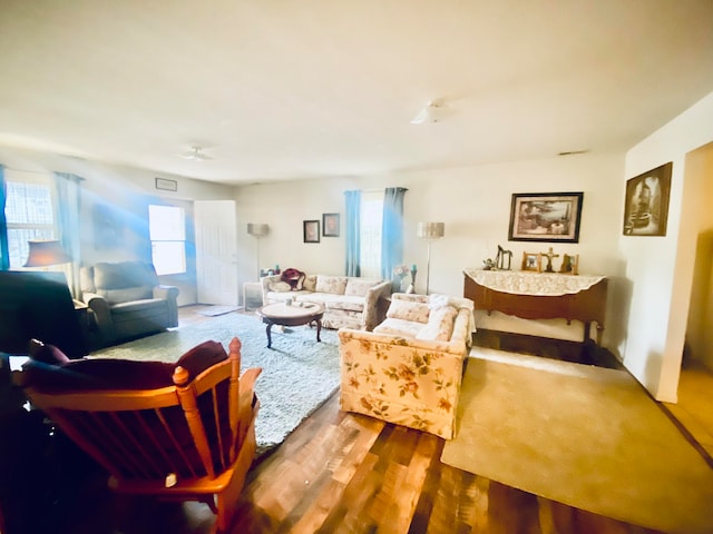 living room featuring wood-type flooring and a wealth of natural light