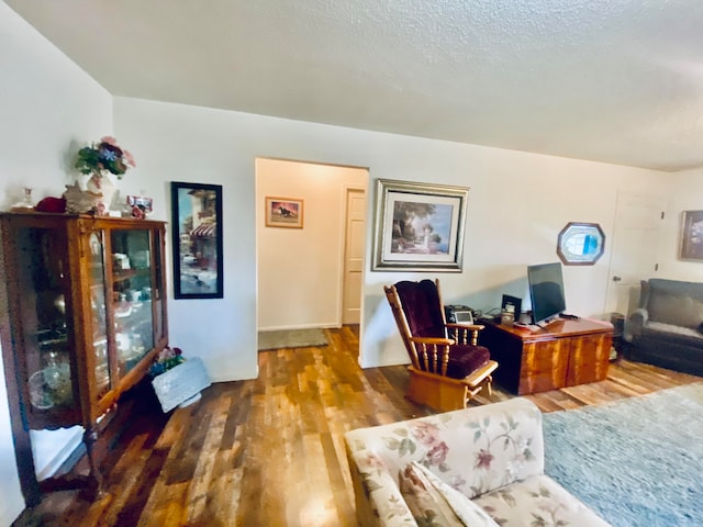 living room featuring a textured ceiling and wood-type flooring