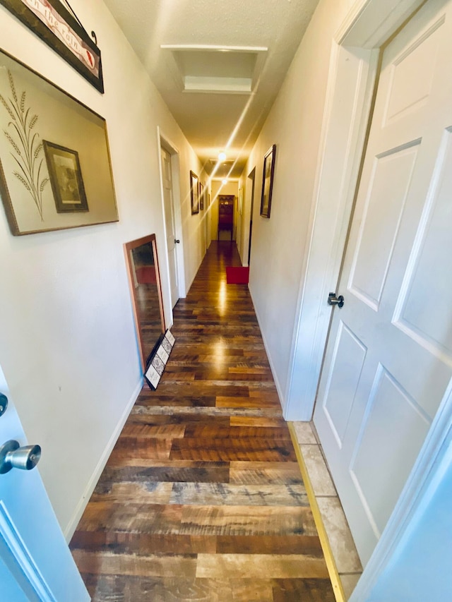 hallway featuring dark hardwood / wood-style flooring