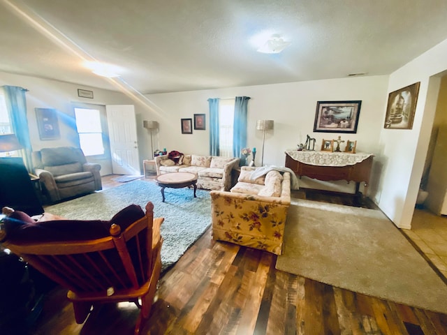 living room featuring a healthy amount of sunlight and dark wood-type flooring