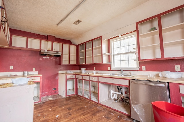 kitchen featuring stainless steel dishwasher, sink, a textured ceiling, and dark hardwood / wood-style flooring