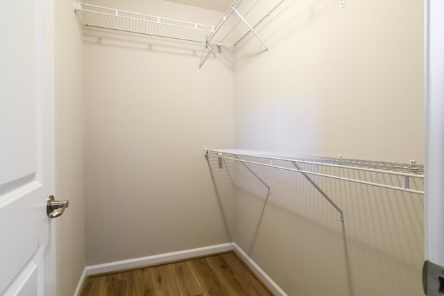 spacious closet featuring hardwood / wood-style floors