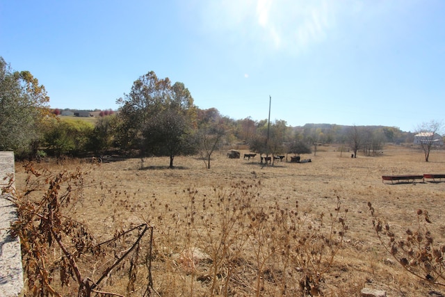 1819 Pleasant Hill Rd, Seymour, MO 65746 - view of yard featuring a view of countryside