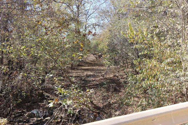 1819 Pleasant Hill Rd, Seymour, MO 65746 - view of nature