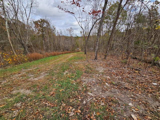 Listing photo 3 for 6.76AC Town Hollow Rd, Anderson MO 64831