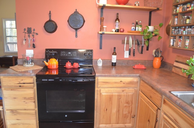 4435 Olga Rd, Fordland, MO 65652 - kitchen with open shelves and electric range
