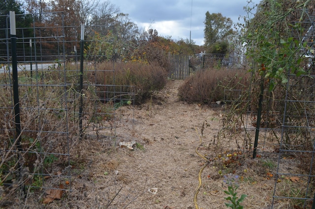4435 Olga Rd, Fordland, MO 65652 - view of yard with fence