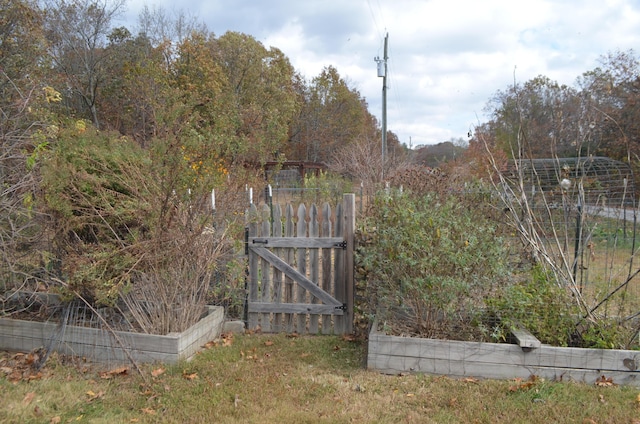 4435 Olga Rd, Fordland, MO 65652 - view of gate with fence