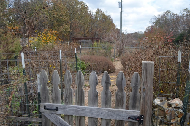 4435 Olga Rd, Fordland, MO 65652 - details featuring fence