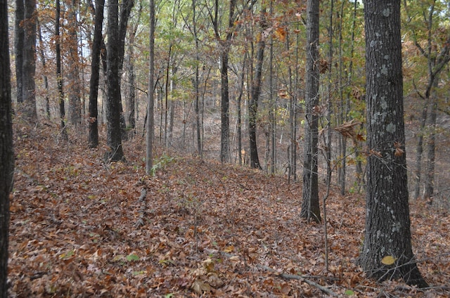 4435 Olga Rd, Fordland, MO 65652 - view of nature featuring a view of trees