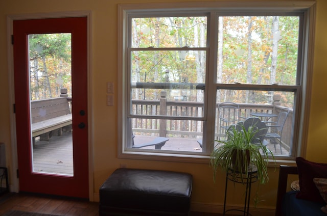 4435 Olga Rd, Fordland, MO 65652 - doorway to outside featuring wood finished floors and a healthy amount of sunlight
