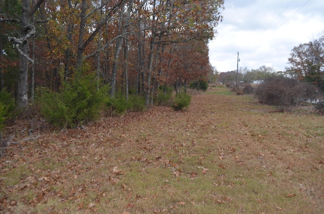 4435 Olga Rd, Fordland, MO 65652 - view of nature