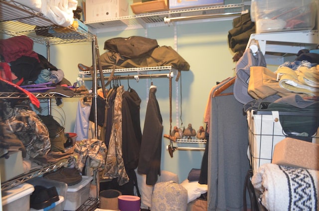 4435 Olga Rd, Fordland, MO 65652 - view of walk in closet