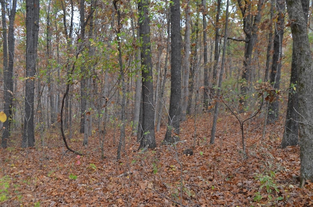 4435 Olga Rd, Fordland, MO 65652 - view of landscape featuring a forest view