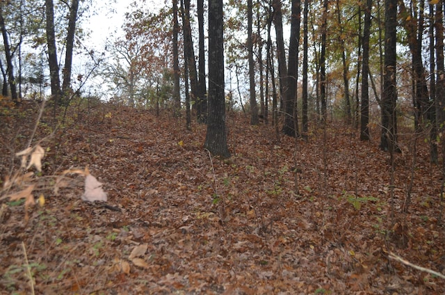 4435 Olga Rd, Fordland, MO 65652 - view of local wilderness