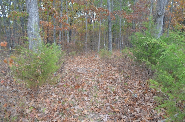 4435 Olga Rd, Fordland, MO 65652 - view of landscape featuring a view of trees
