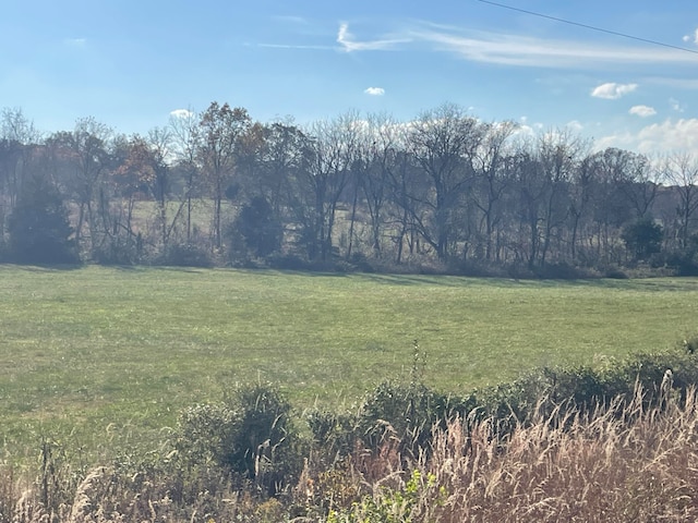 view of yard with a rural view