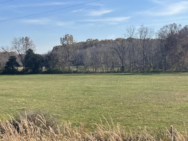 1022 County Road 5050, Willow Springs, MO 65793 - photo 40
