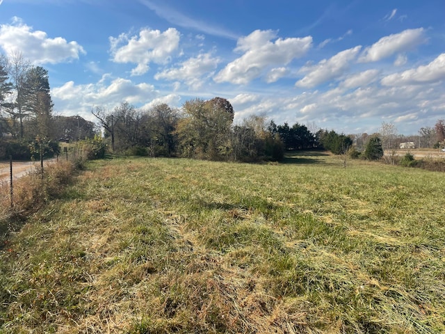 view of yard featuring a rural view