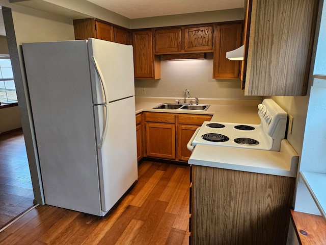 kitchen with hardwood / wood-style floors, sink, and white appliances