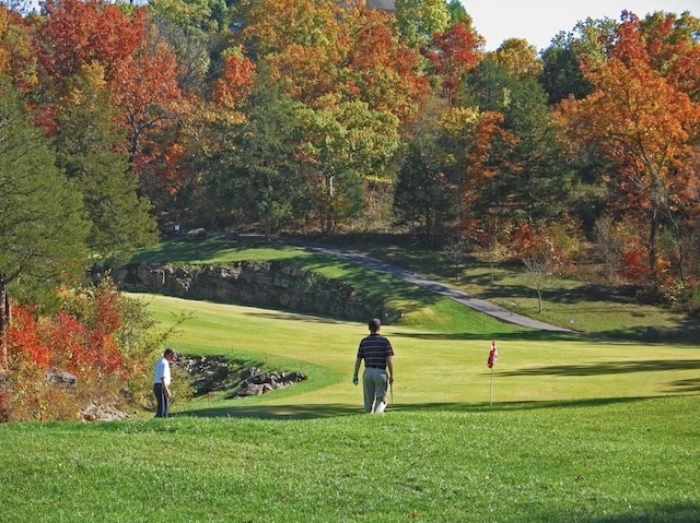 view of property's community featuring a lawn