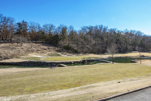 view of property's community with a water view and a yard