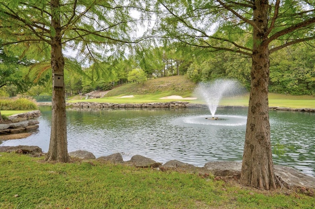 view of water feature