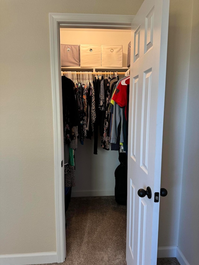 spacious closet featuring carpet flooring