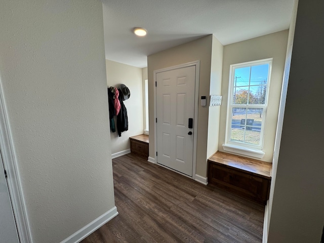 foyer featuring dark hardwood / wood-style floors