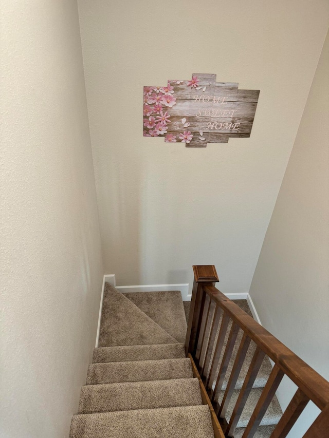 stairs with carpet flooring