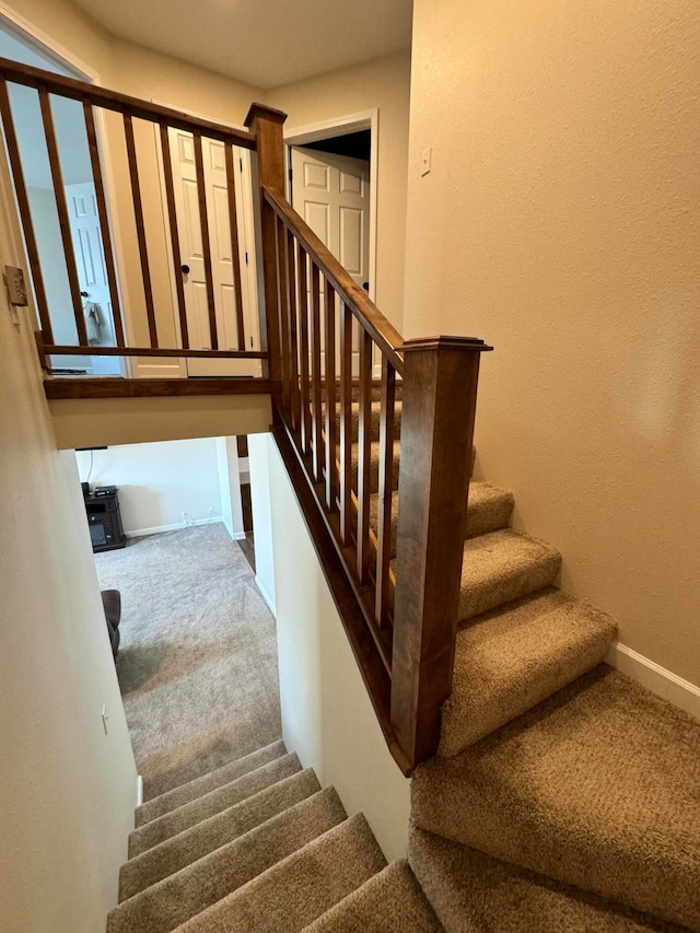 stairway with carpet