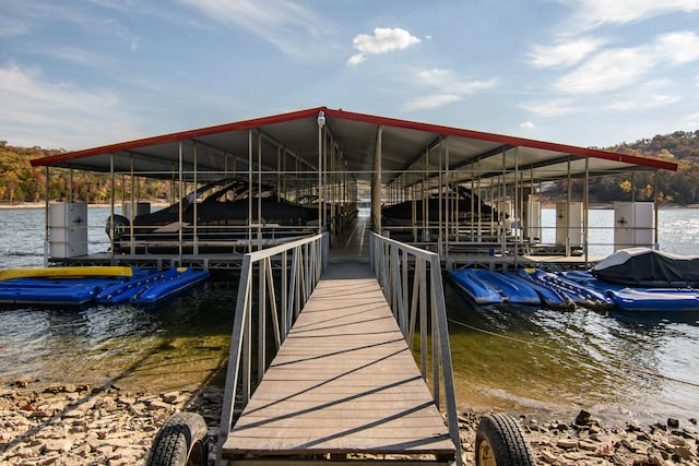 dock area with a water view