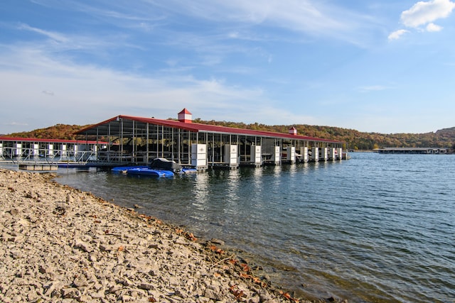 dock area with a water view