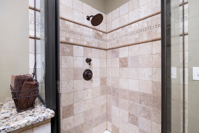 bathroom featuring a shower with shower door