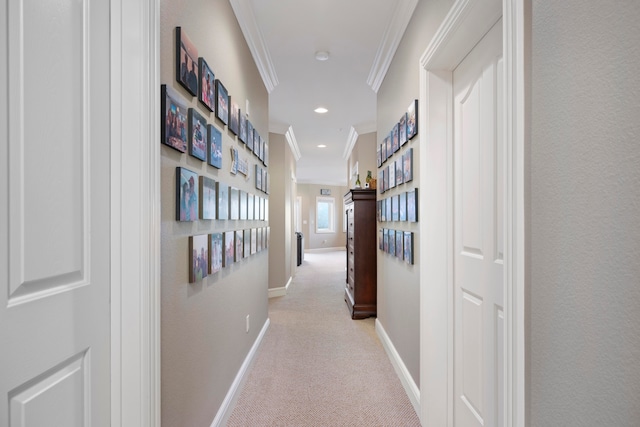 hall with ornamental molding and light carpet