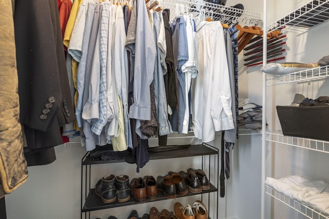 view of walk in closet