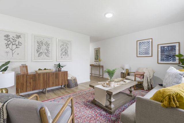 living room with light wood-type flooring