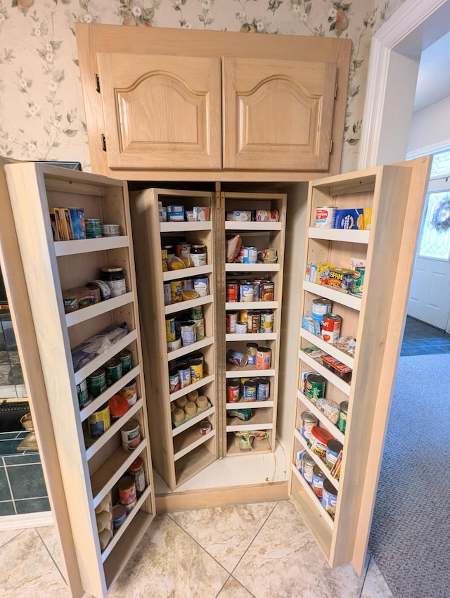 view of pantry