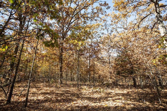 000 Woodhaven Rd, Edwards MO, 65326 land for sale