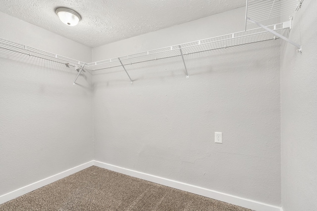 walk in closet featuring carpet