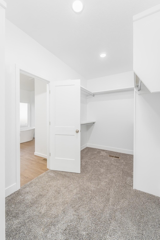 walk in closet with carpet flooring