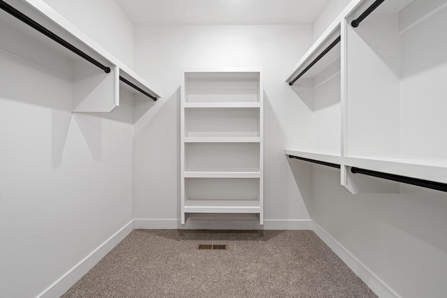 walk in closet featuring carpet floors