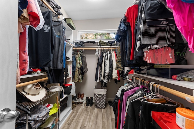 walk in closet with wood-type flooring