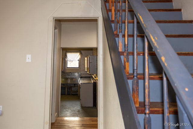 staircase featuring wood-type flooring