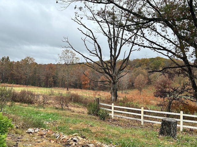 view of yard featuring a rural view